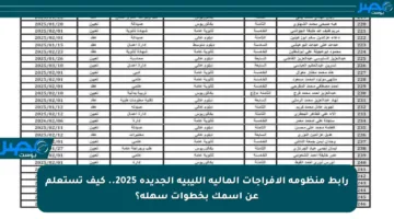 رابط منظومة الإفراجات المالية الليبية الجديدة 2025.. كيف تستعلم عن اسمك بخطوات سهلة؟